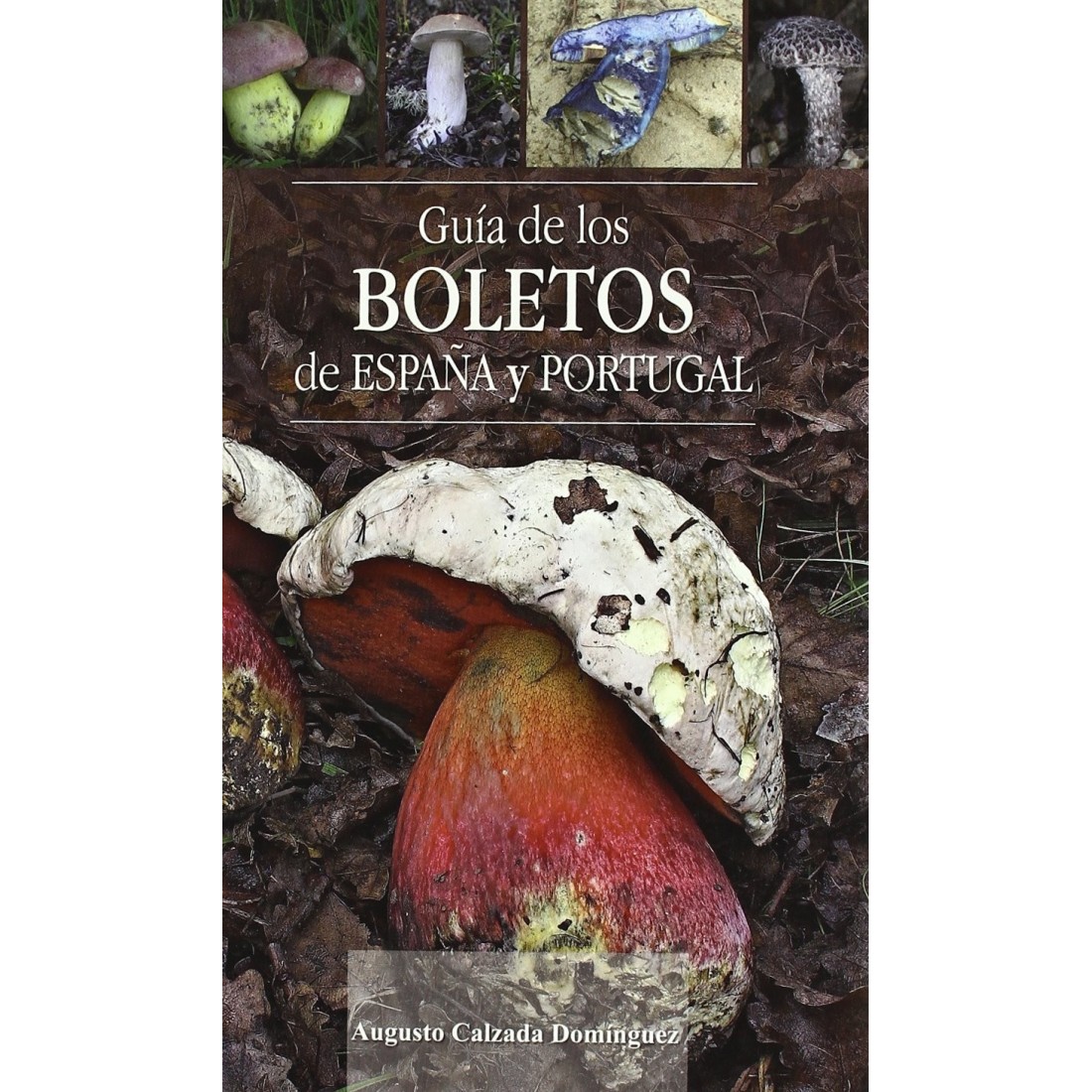 Guide to Spain and Portugal