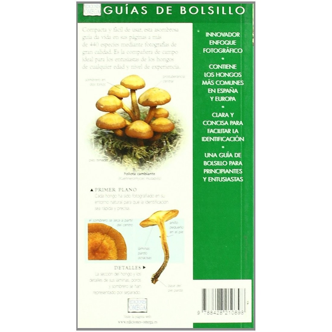 FUNGI. POCKET GUIDE S. Evans, G. Kibby