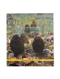Las colmenillas y su gastronomía