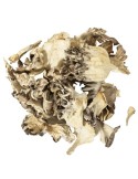 Dehydrated Maitake , G. frondosa