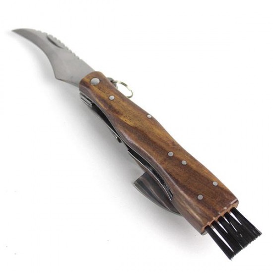 copy of Mushroom-boletus knife