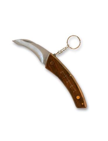 Coltello Funghi Personalizzato con Spazzola e Fodero 2