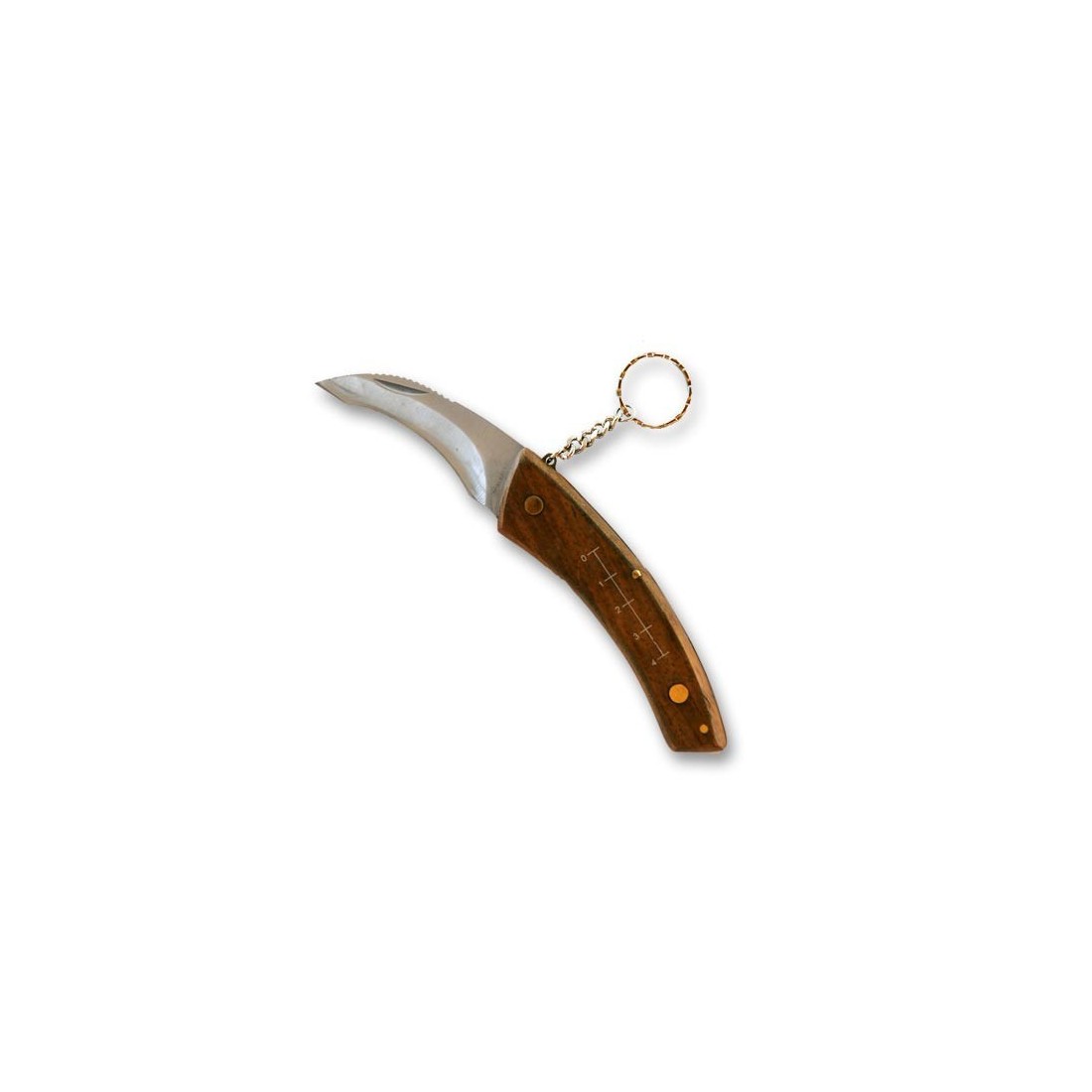 Navaja para setas con cepillo y funda - Personalizada