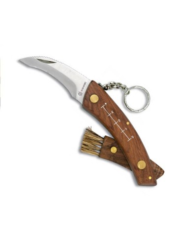 Navaja para setas con cepillo y funda - Personalizada