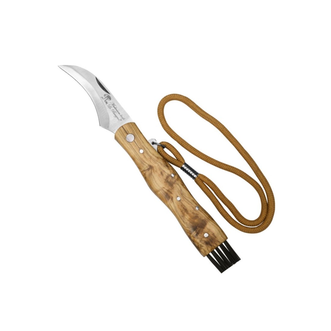 Navalha para cogumelos com cabo de madeira de teca, lâmina de aço inoxidável e escova de limpeza integrada.