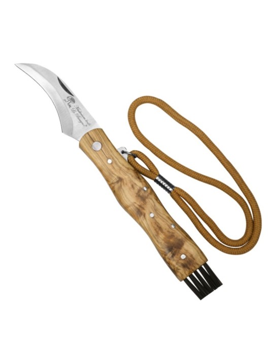 Pilzmesser mit Teakholzgriff, Klinge aus rostfreiem Edelstahl und integrierter Reinigungsbürste.