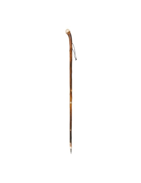 Flamed Chestnut Wood Walking Stick with Metal Spike Tip