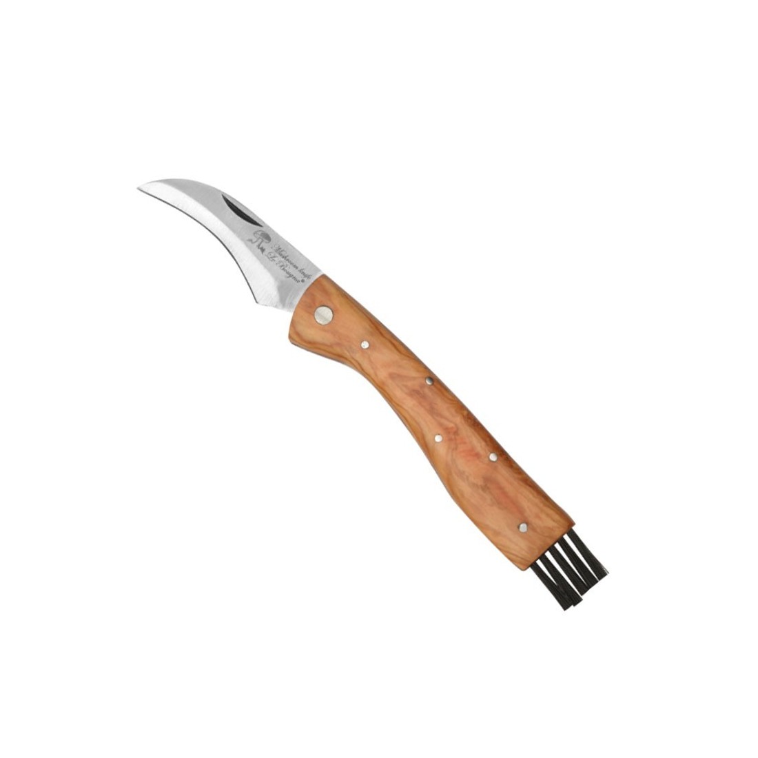 Mushroom Knife with Teak Handle and Brush