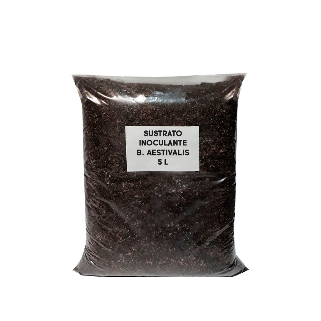 Grow Boletus Aestivalis Mushrooms at Home - Easy...