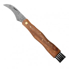 Herbertz Coltelli Coltello tascabile con lama damasco, impugnatura