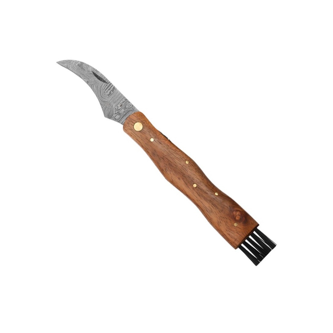 Couteau Champignons Damas avec Brosse et Sangle