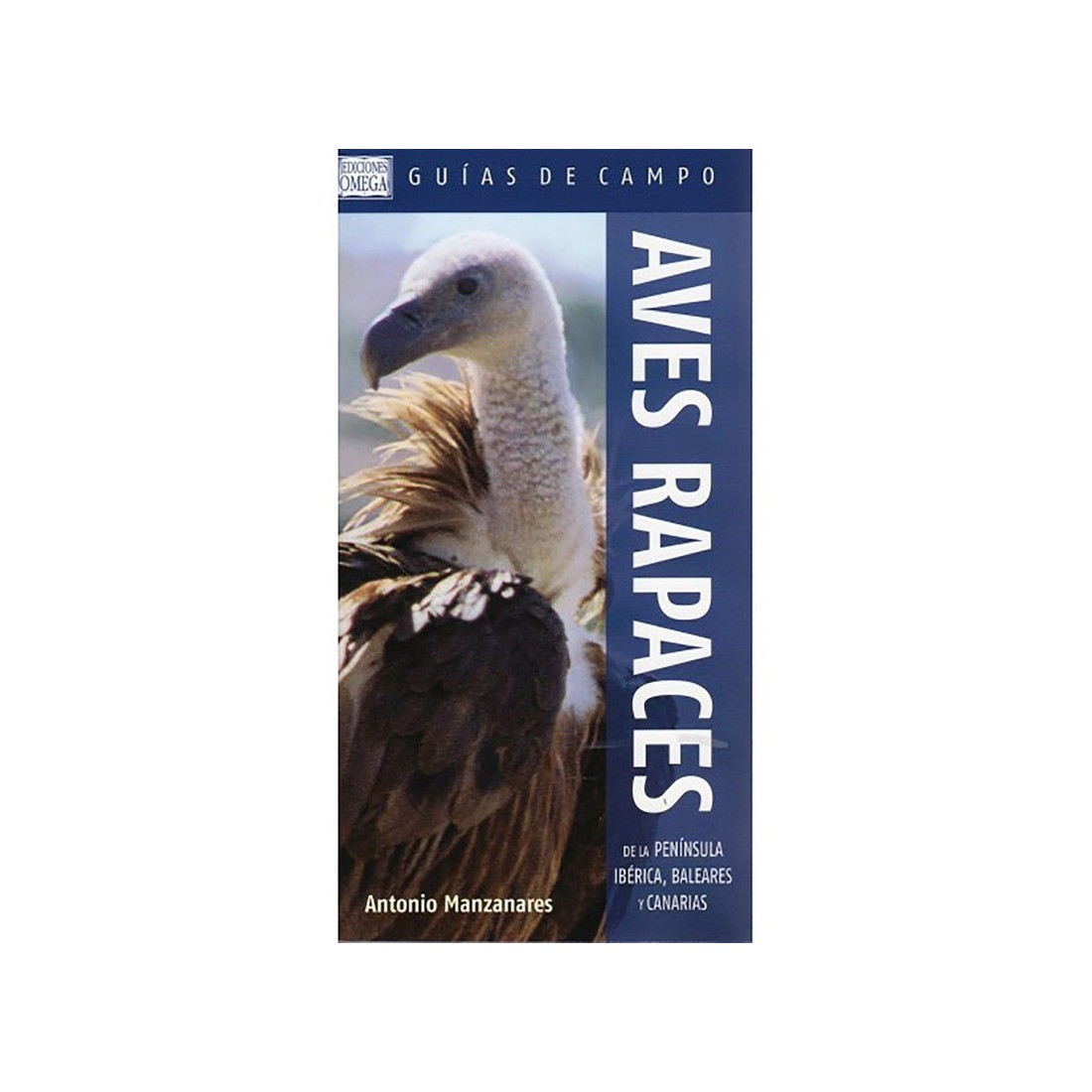 Birds of Prey Iberian Peninsula | Manzanares Detailed Guide Birds of Prey Iberian Peninsula | Manzanares Detailed Guide