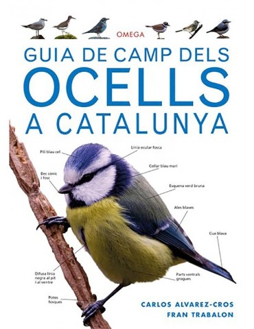 Bird Watching Guide to Catalonia - 336 Species & 1700 Photos