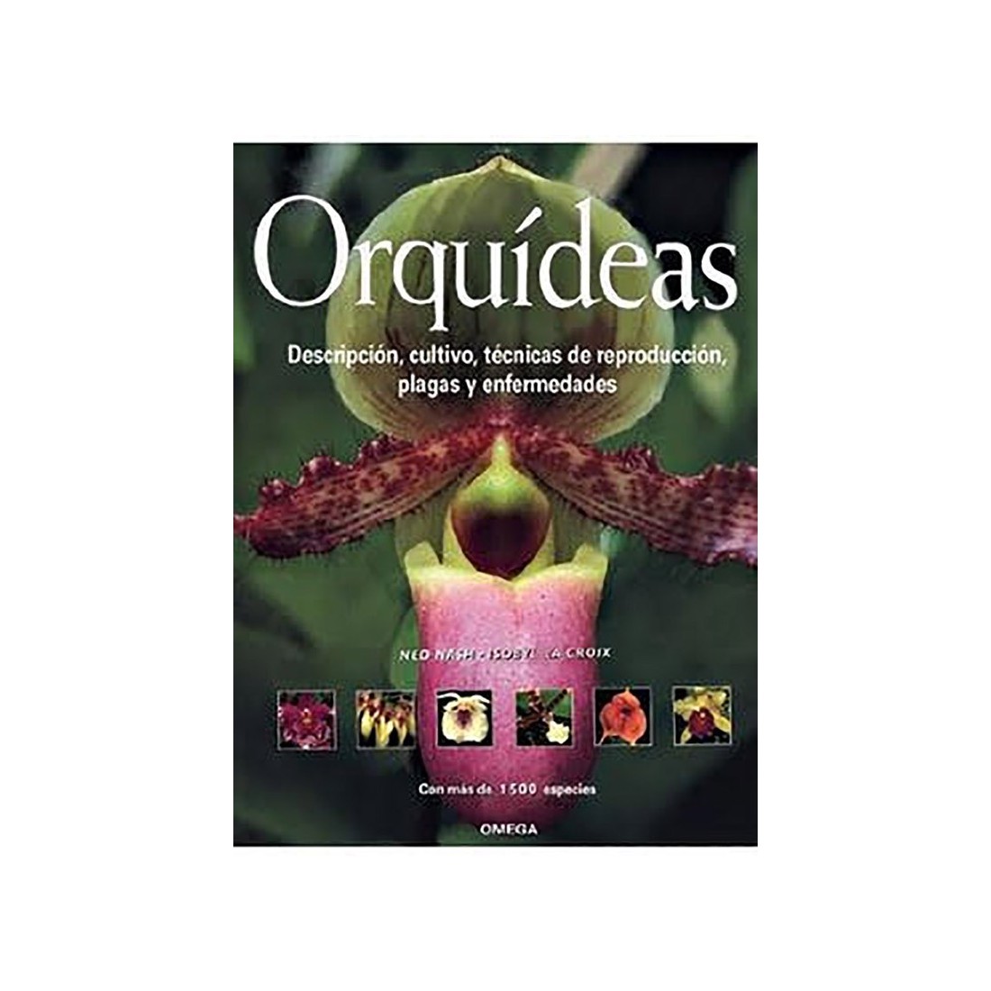 ORCHIDEE N. Nash / I. La Croix - Guida Completa alla Coltivazione ORCHIDEE N. Nash / I. La Croix - Guida Completa alla Coltivazione