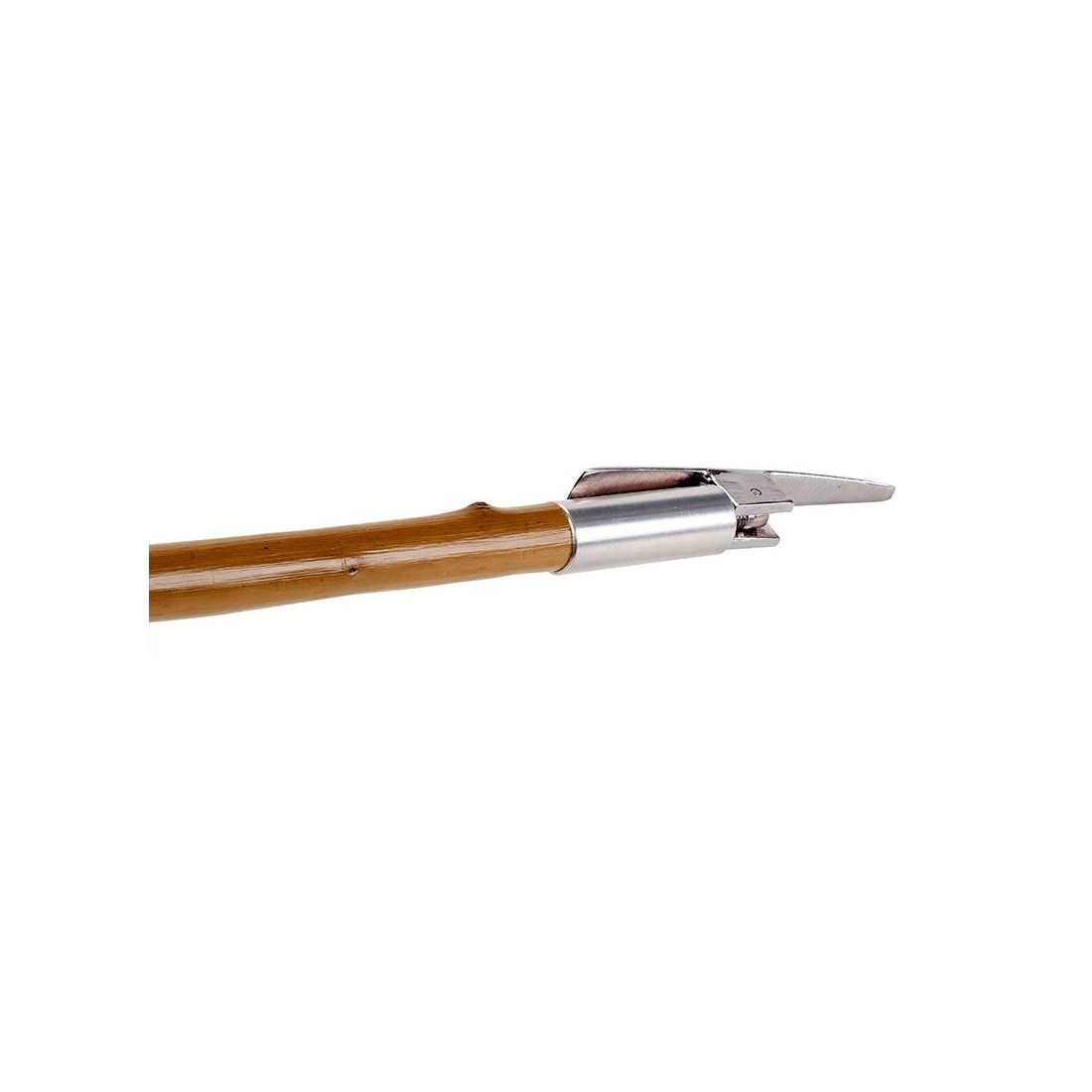Chestnut Wood Truffle Stick with Steel Tip - Durable &...