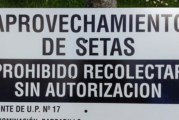 Participa en la nueva regulacion micológica dando tu opinión