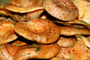Las setas, una delicia para todo el año
