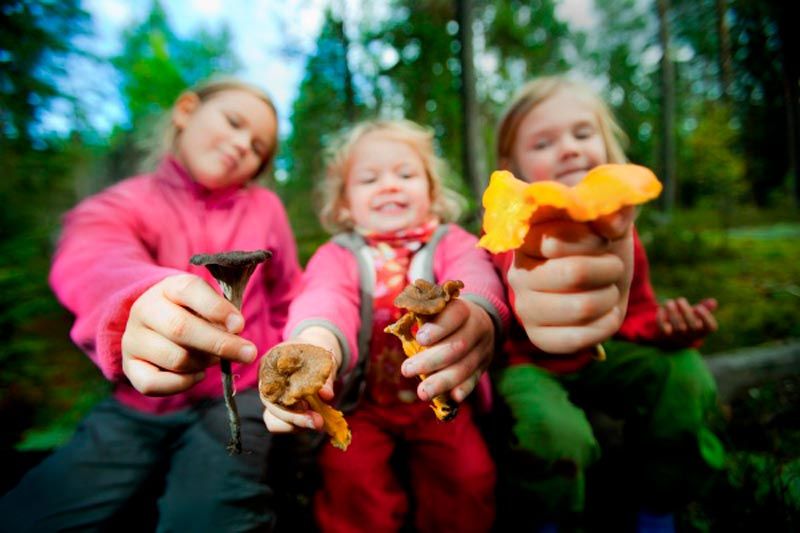 salir a buscar setas con niños - buscar setas con pequeños - la casa de las setas