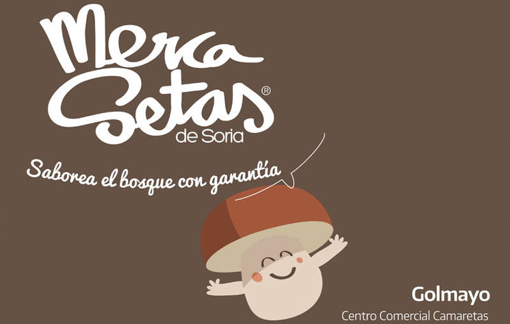 Este otoño, nuevos mercados de setas en Segovia