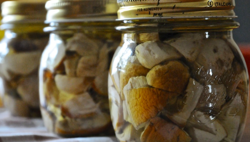 mineral Comerciante Patatas ▷ Cómo conservar Boletus | La Casa de las Setas
