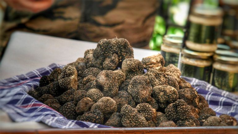 05-trufa-de-verano-tuber-aestivum-la-casa-de-las-setas-768x432.jpg