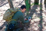 Guía de Setas, un aplicación útil para ayudarnos a identificar setas