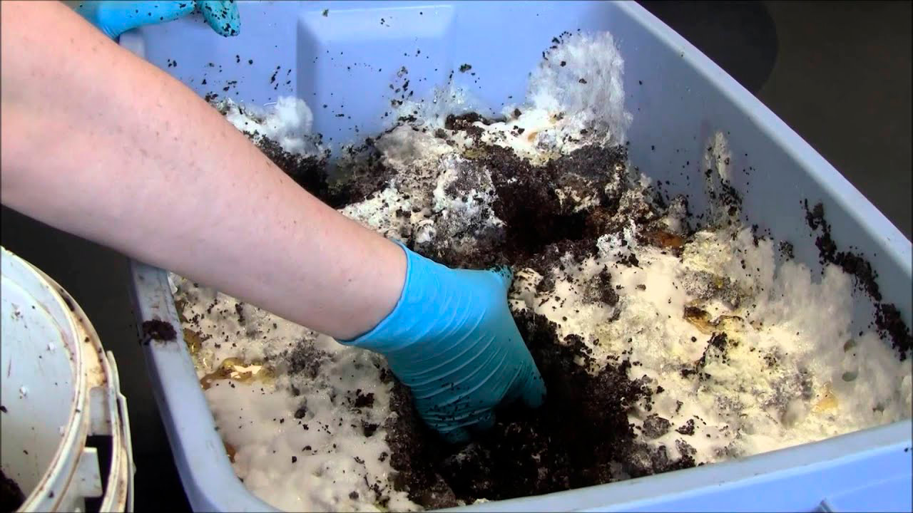 como cultivar champiñones - la casa de las setas