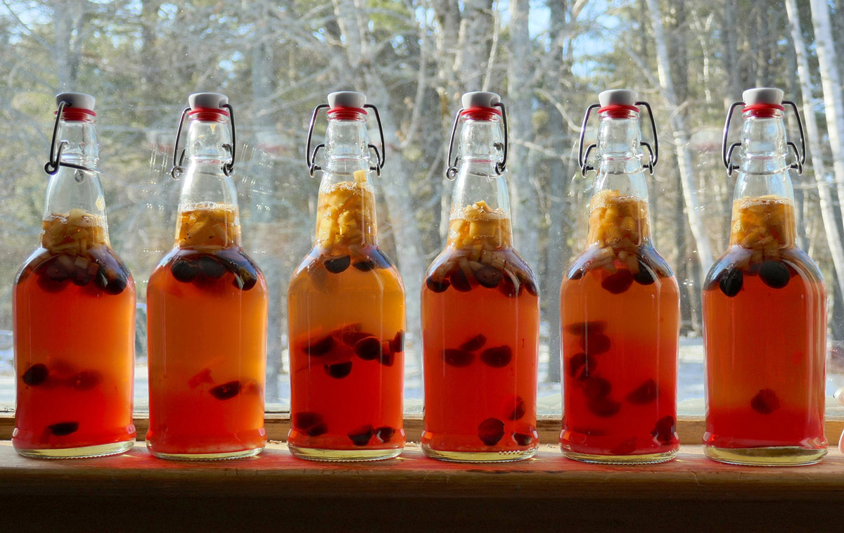 kombucha casero