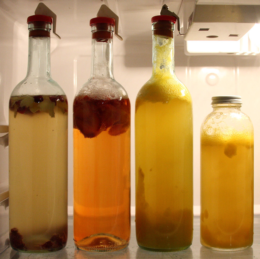 kombucha casero