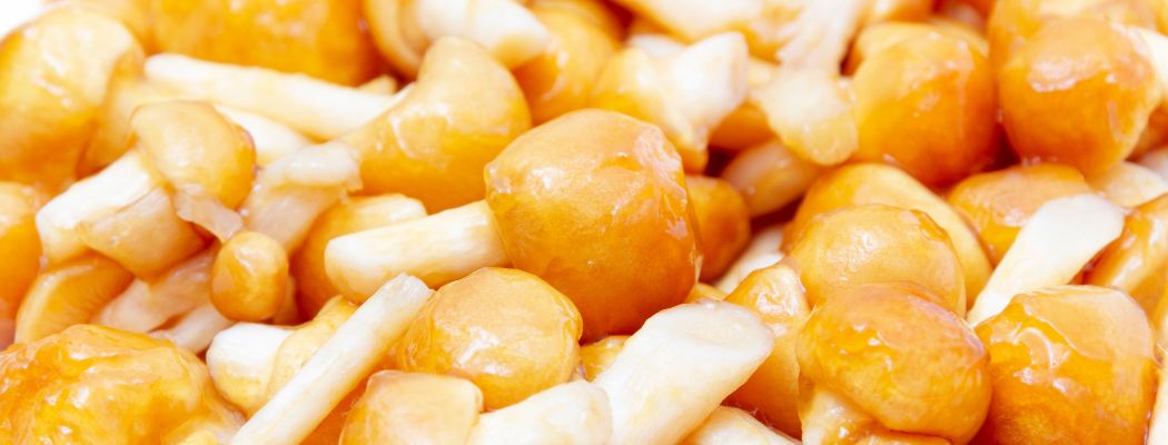 nameko