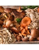 Champignons Gourmets