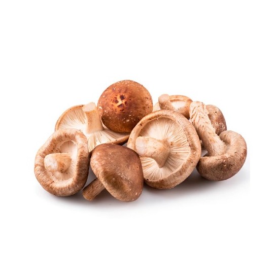 Shiitake