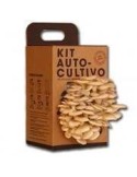 Kits de cultivo de Setas