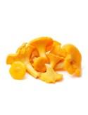 Chanterelle