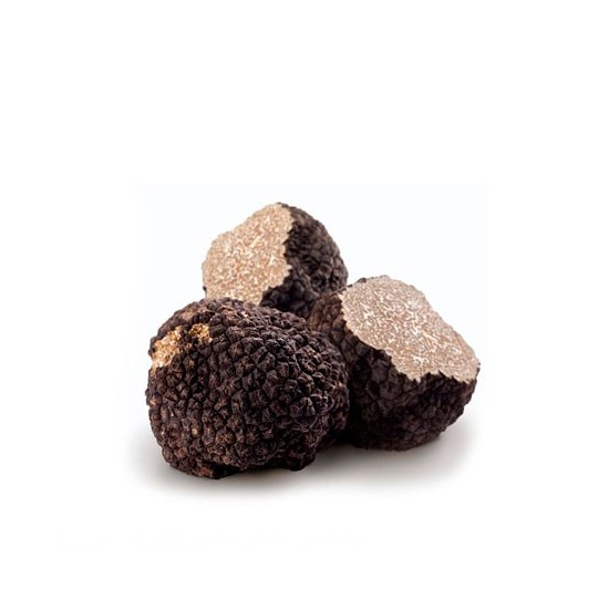 Summer truffle (T. aestivum)