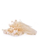 Enoki