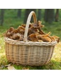 Équipement de chasse
