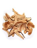 Dried medicinal mushrooms