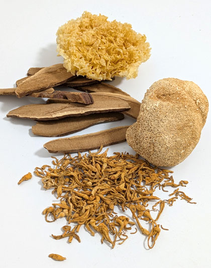 Setas medicinales deshidratadas