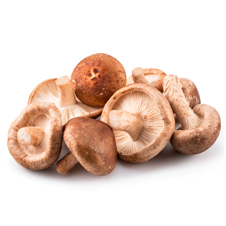 Shiitake (L. edodes)