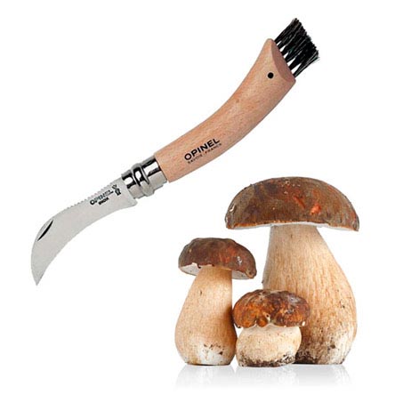 Mushroom Knives