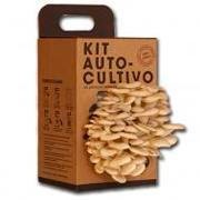 Kits de cultivo de Setas